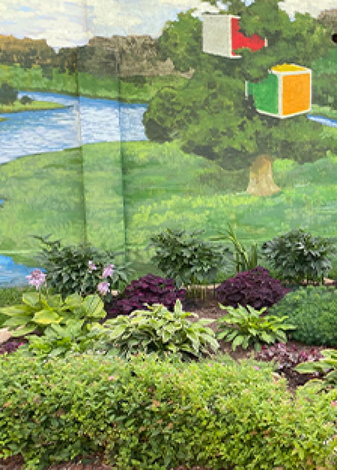 Спорт, который сильнее войны. Программа