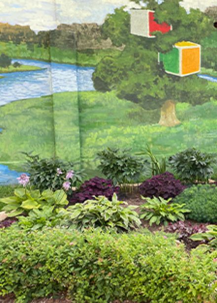 Спорт, который сильнее войны. Программа