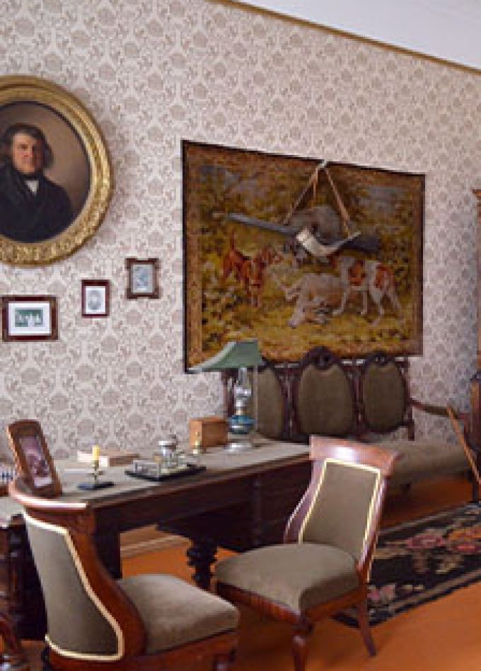 В царстве линий шишкинского леса. Программа